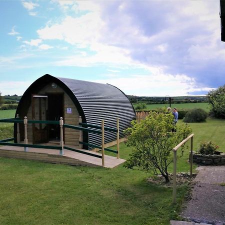 Shanagarry / Ballycotton Glamping Pod Cork Extérieur photo
